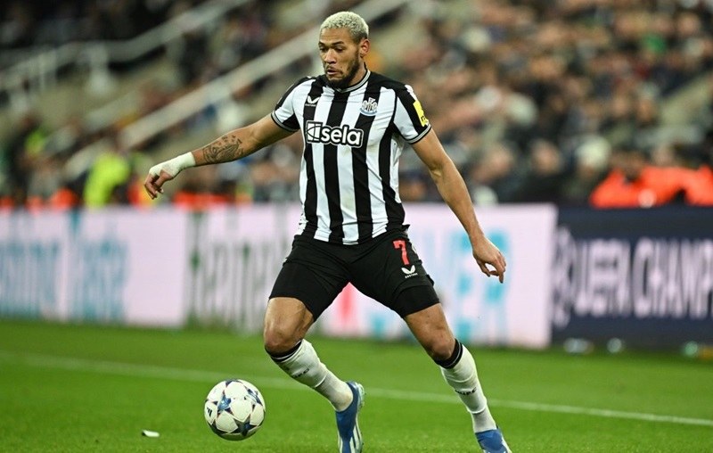 Joelinton - Niềm tự hào của bóng đá Brazil